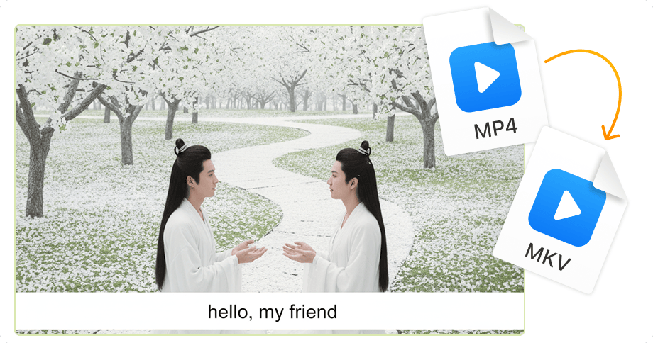 複数の音声＆字幕トラック