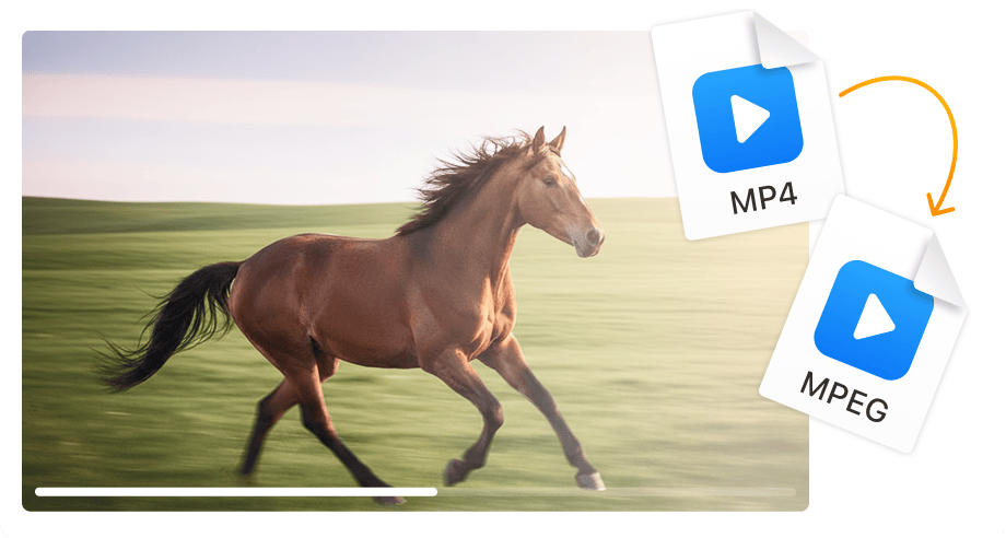 DVDオーサリングに最適